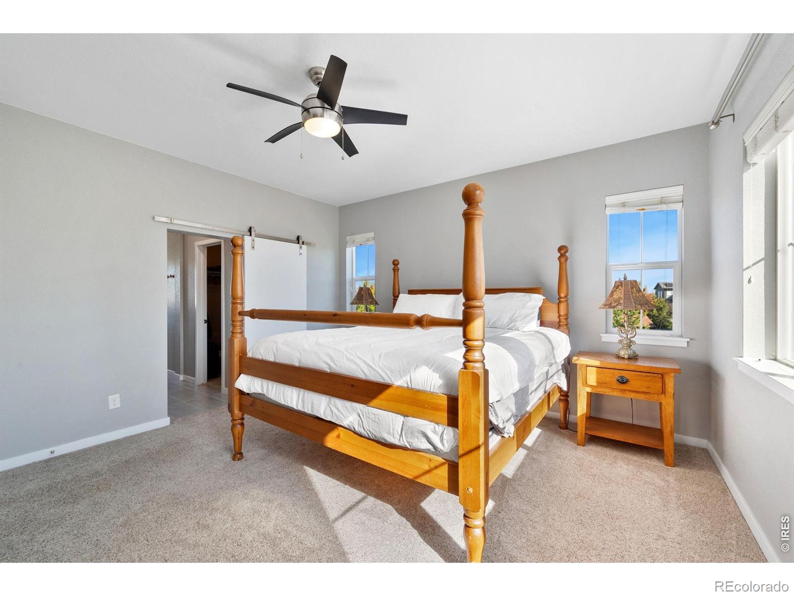 MLS Image #13 for 51  solstice court,erie, Colorado