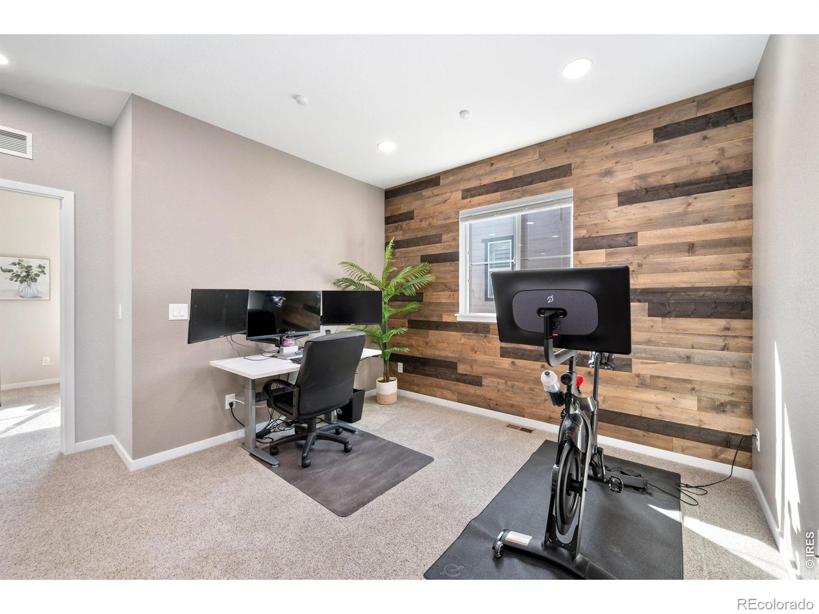 MLS Image #17 for 51  solstice court,erie, Colorado