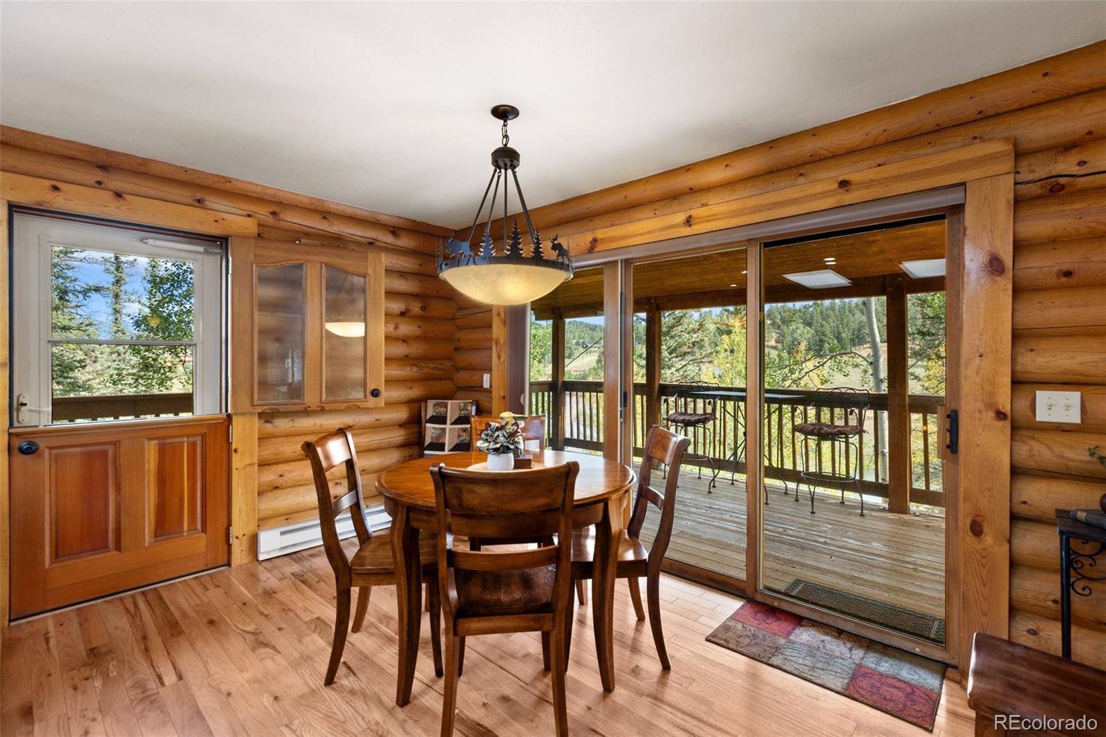 MLS Image #10 for 1369  spring valley drive,divide, Colorado