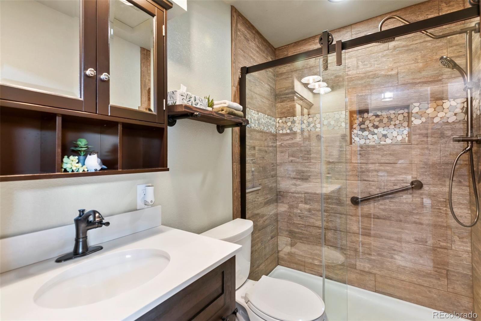 MLS Image #14 for 1369  spring valley drive,divide, Colorado