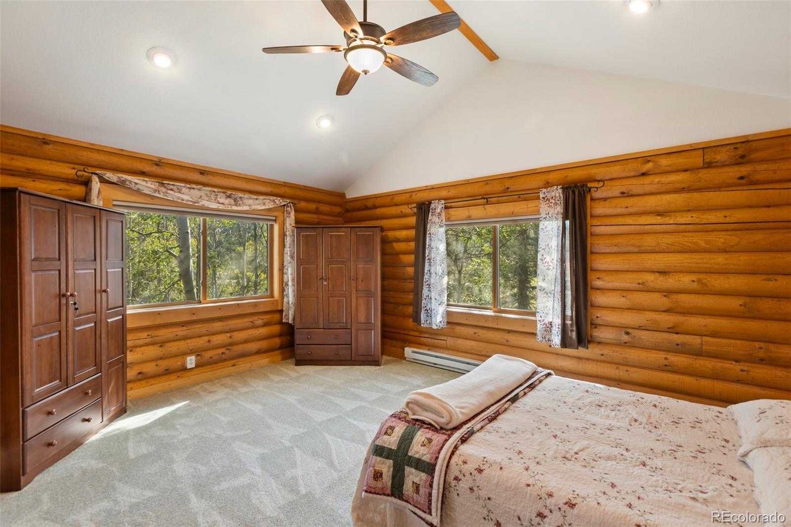 MLS Image #15 for 1369  spring valley drive,divide, Colorado
