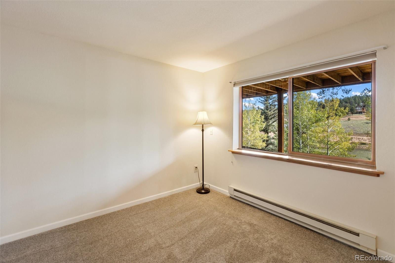 MLS Image #19 for 1369  spring valley drive,divide, Colorado