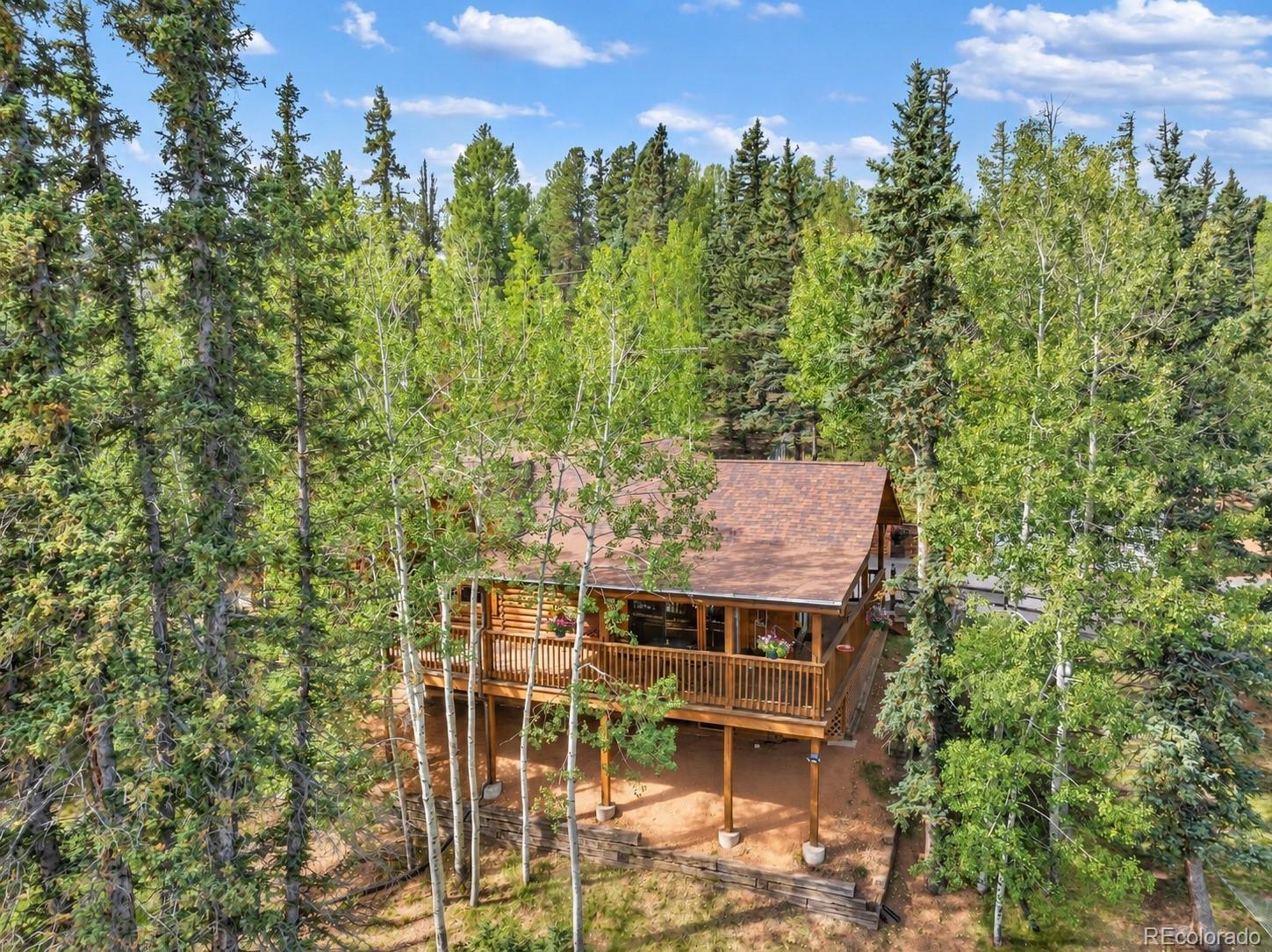 MLS Image #2 for 1369  spring valley drive,divide, Colorado