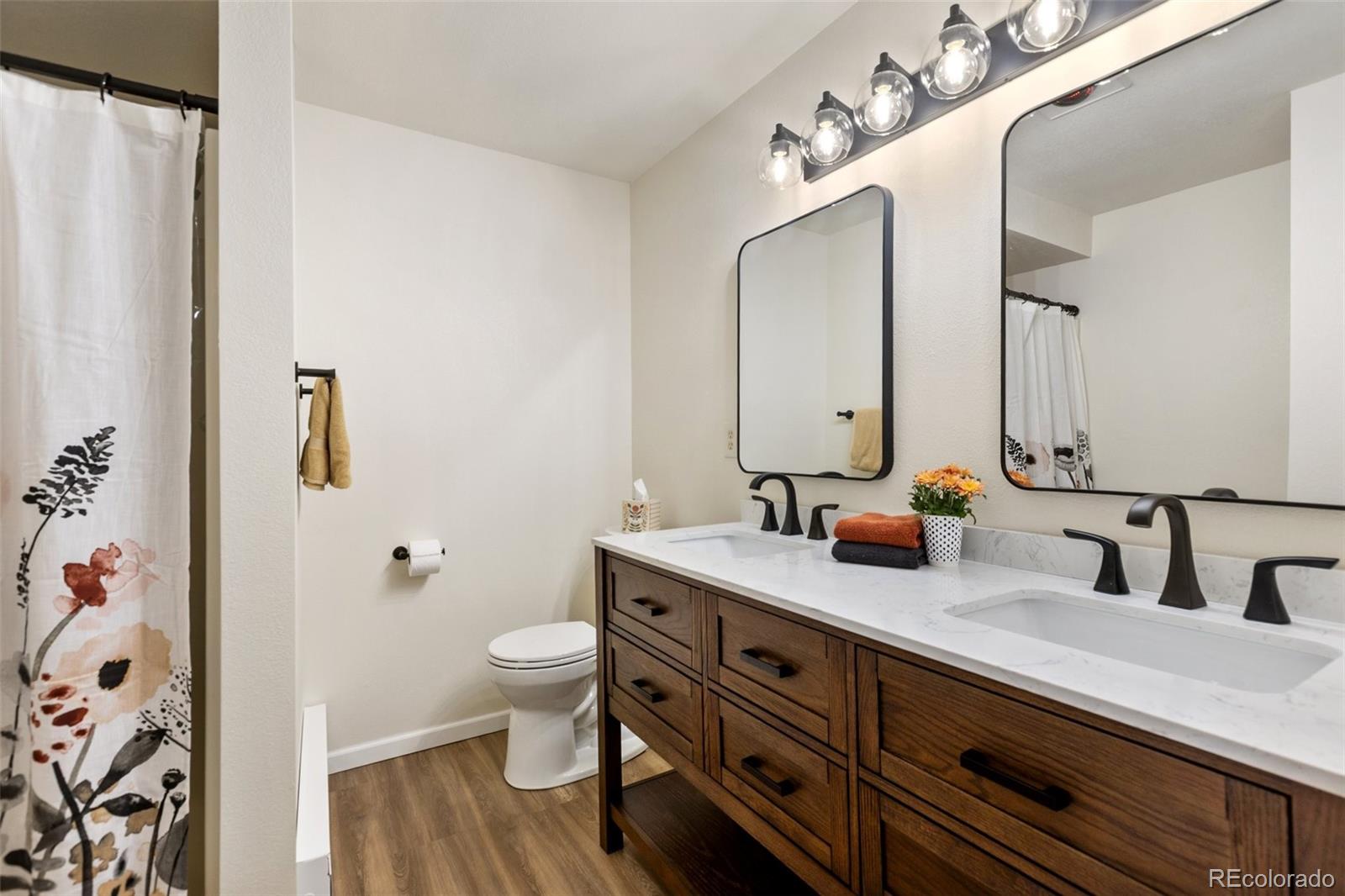 MLS Image #20 for 1369  spring valley drive,divide, Colorado