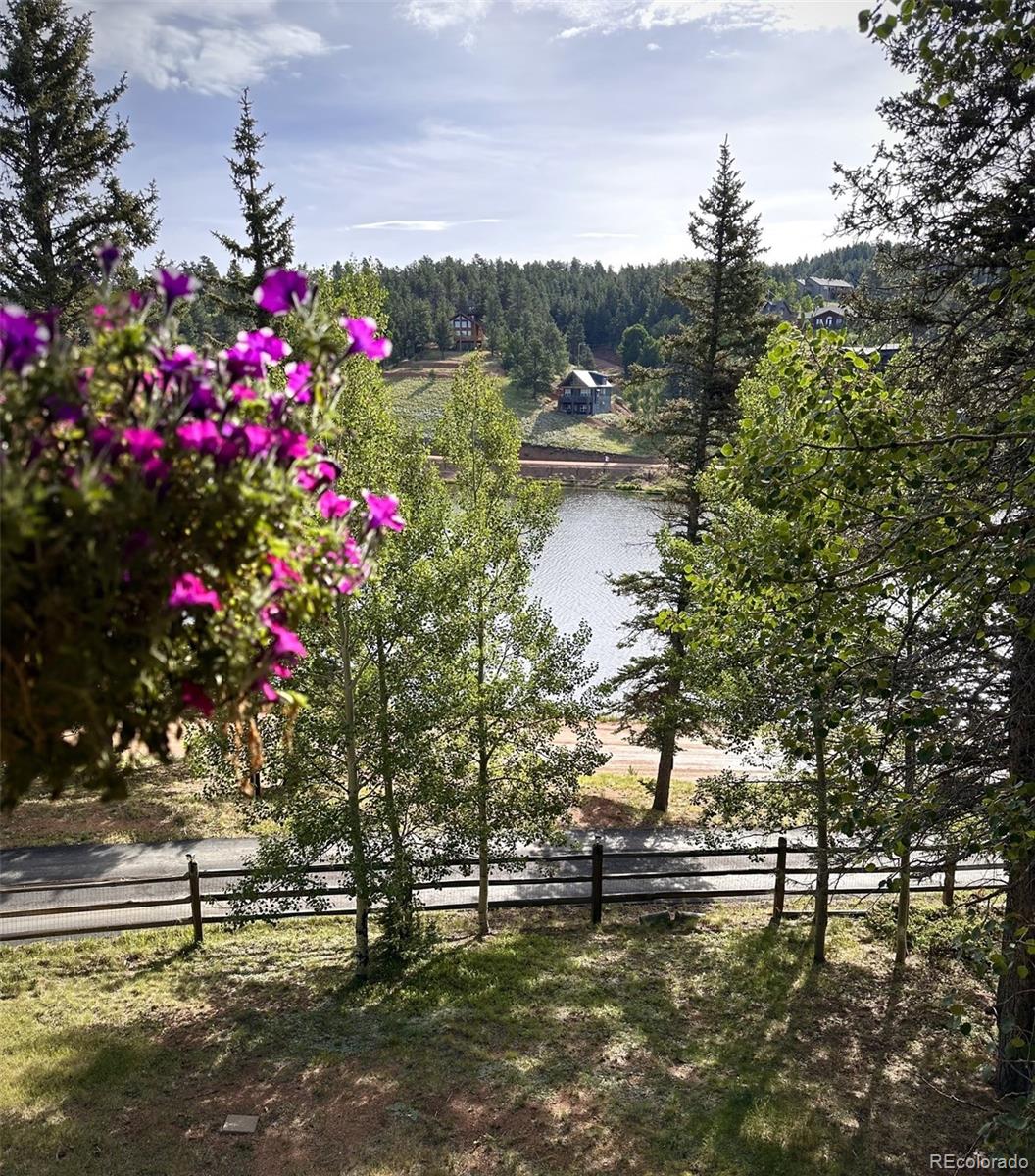 MLS Image #26 for 1369  spring valley drive,divide, Colorado