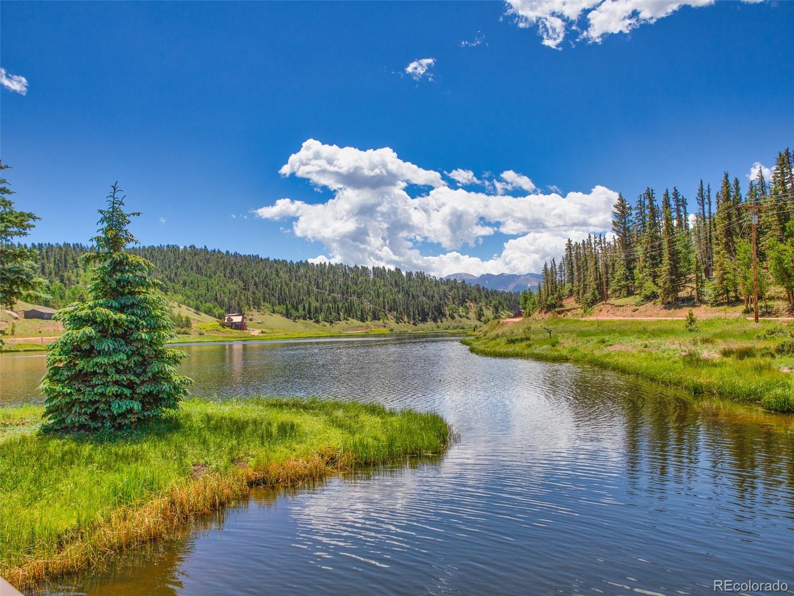 MLS Image #34 for 1369  spring valley drive,divide, Colorado