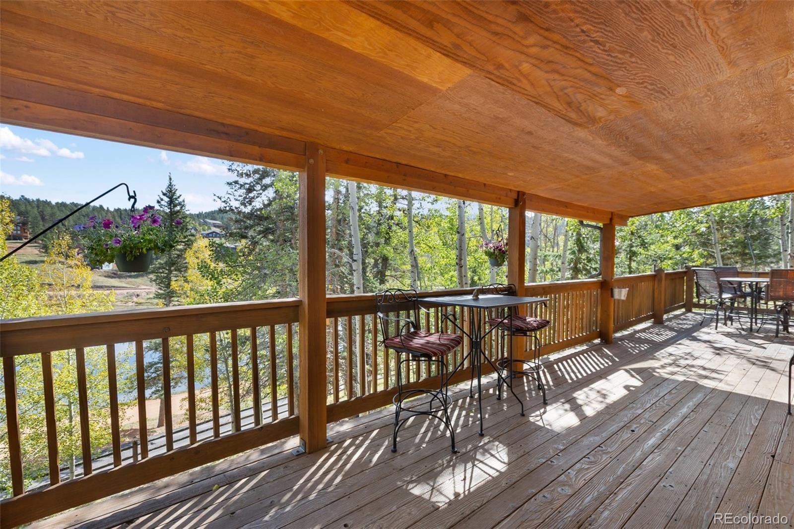 MLS Image #5 for 1369  spring valley drive,divide, Colorado