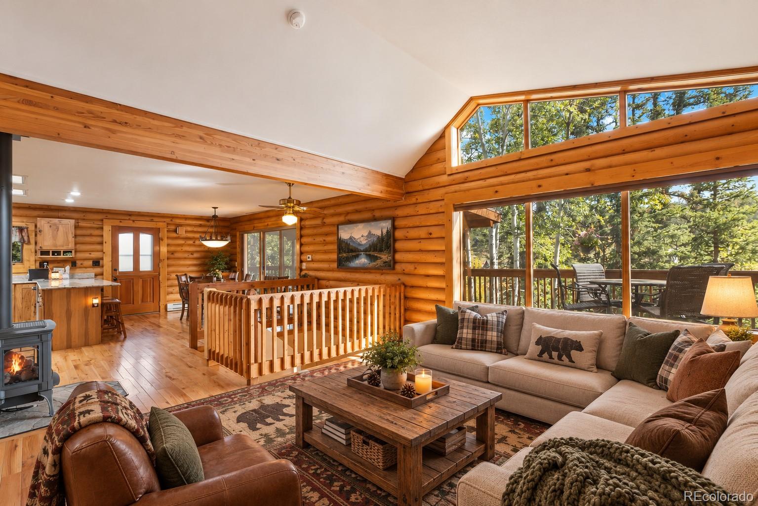 MLS Image #8 for 1369  spring valley drive,divide, Colorado