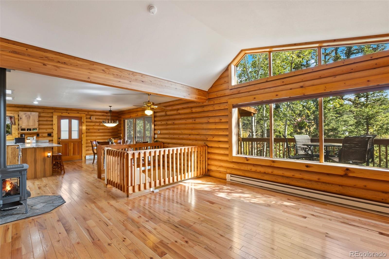 MLS Image #9 for 1369  spring valley drive,divide, Colorado