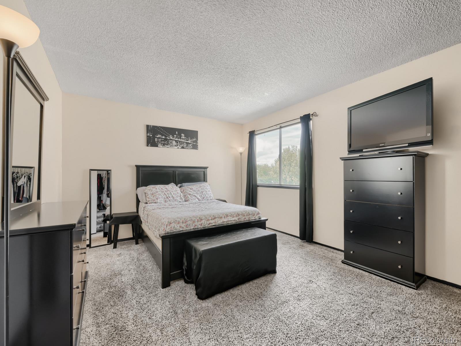 MLS Image #15 for 2283  coronado parkway,thornton, Colorado