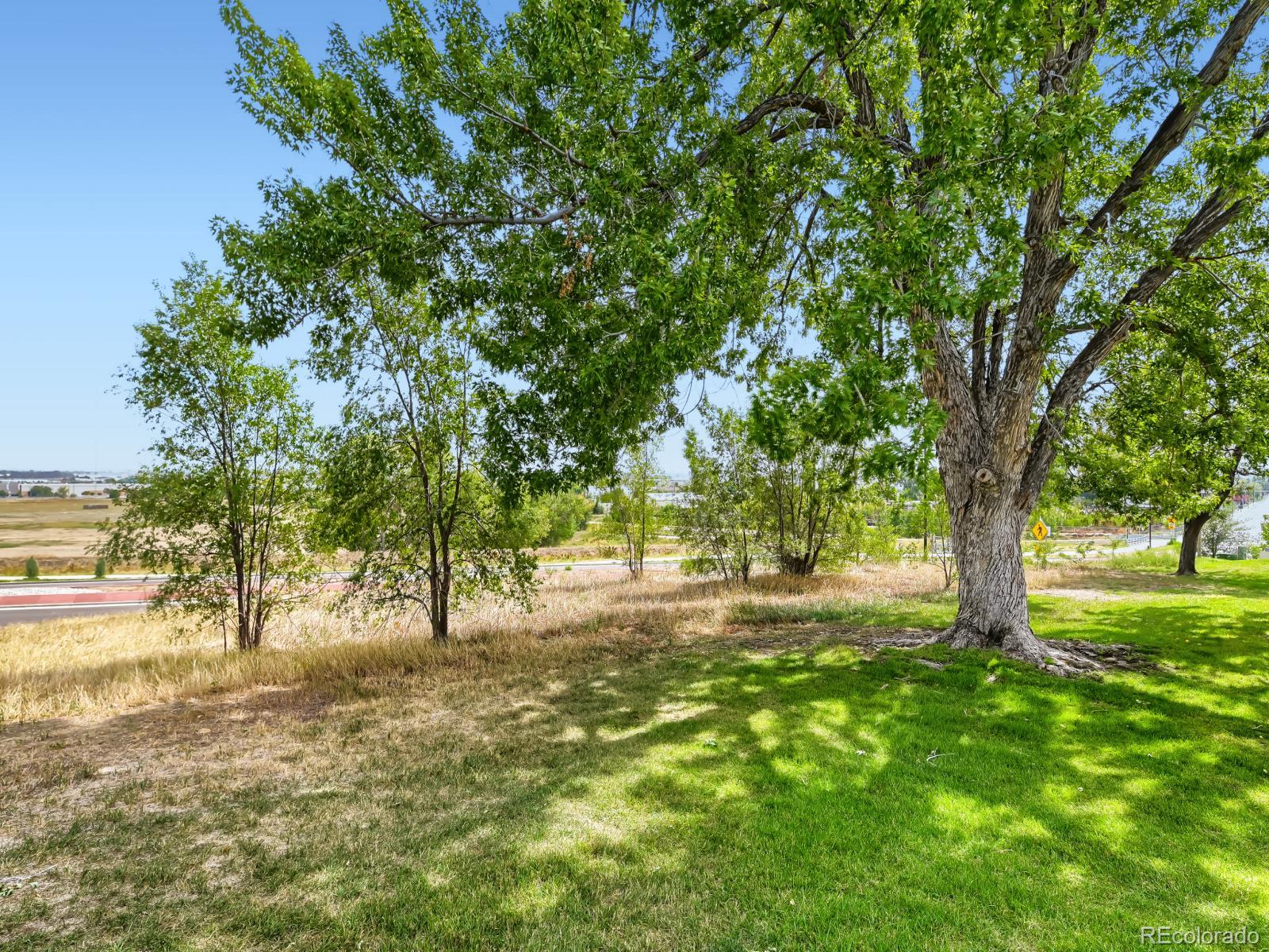 MLS Image #27 for 2283  coronado parkway,thornton, Colorado