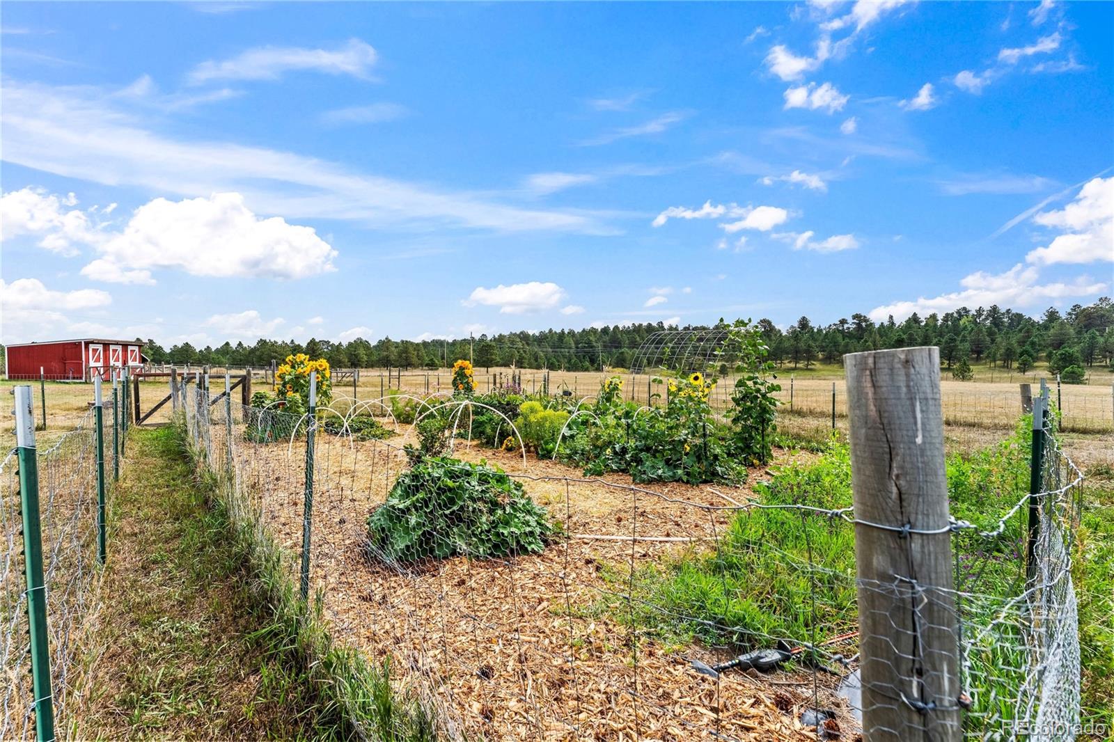 MLS Image #35 for 15685  softwood road,elbert, Colorado