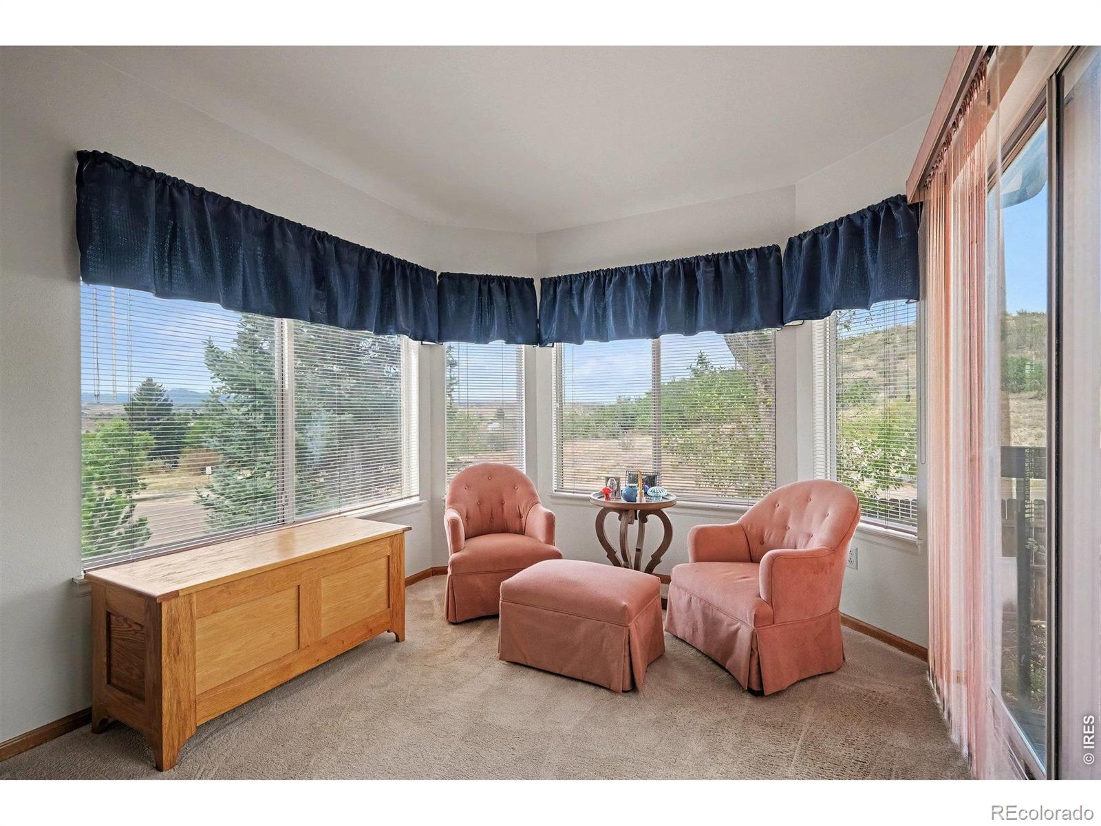MLS Image #13 for 1955  sandhurst drive,castle rock, Colorado