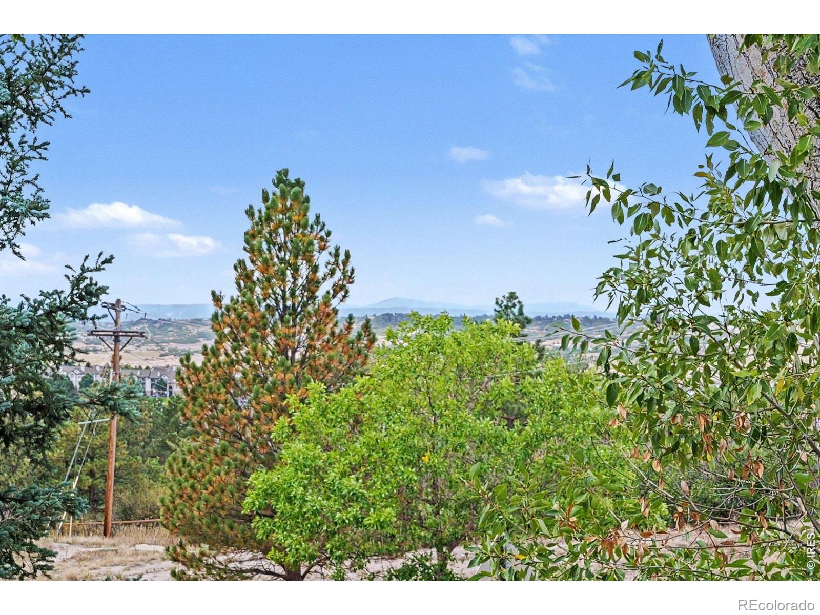 MLS Image #19 for 1955  sandhurst drive,castle rock, Colorado