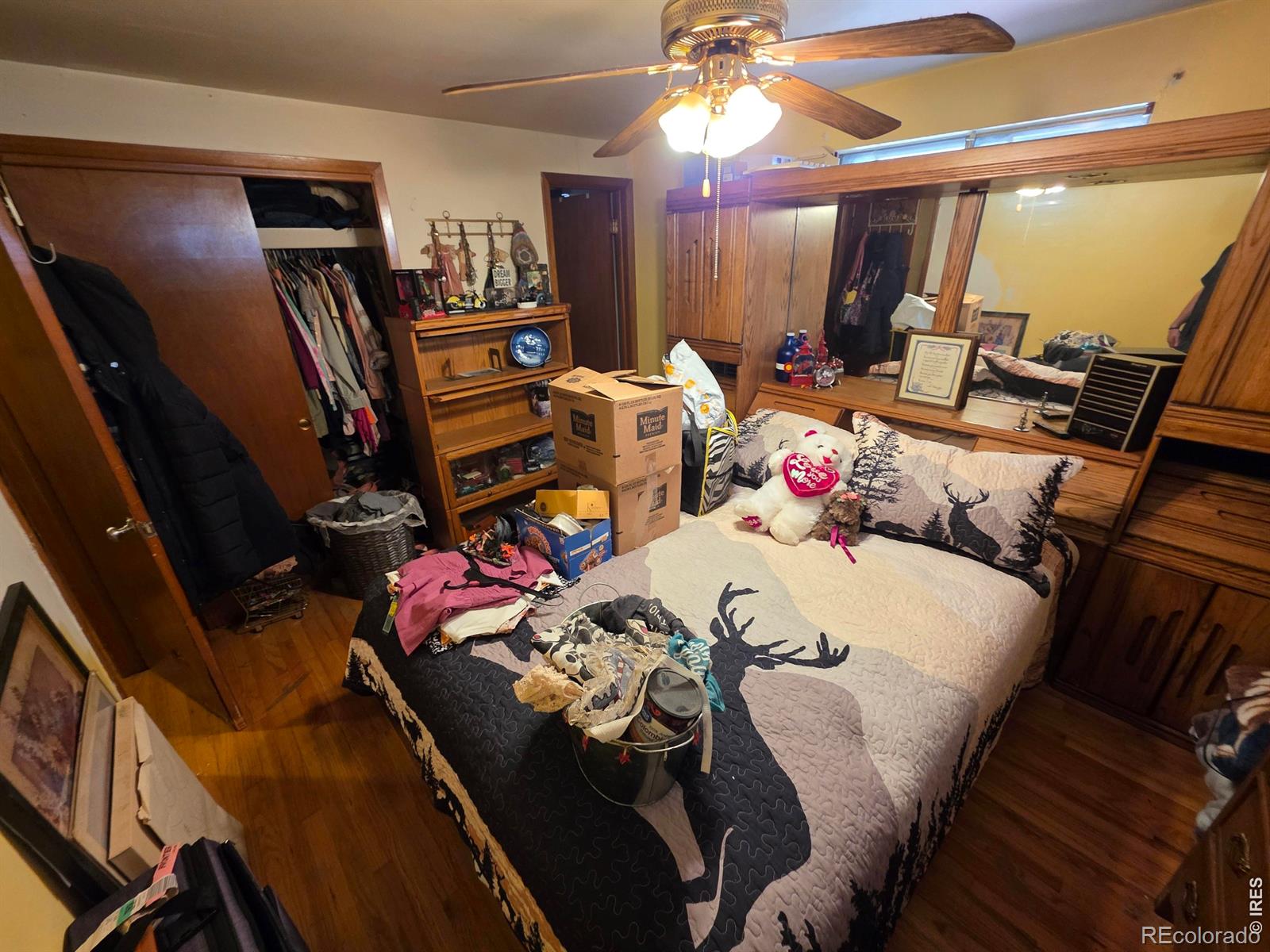 MLS Image #8 for 12  huntington court,longmont, Colorado