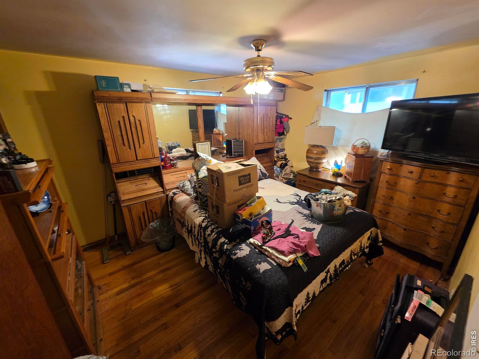 MLS Image #9 for 12  huntington court,longmont, Colorado