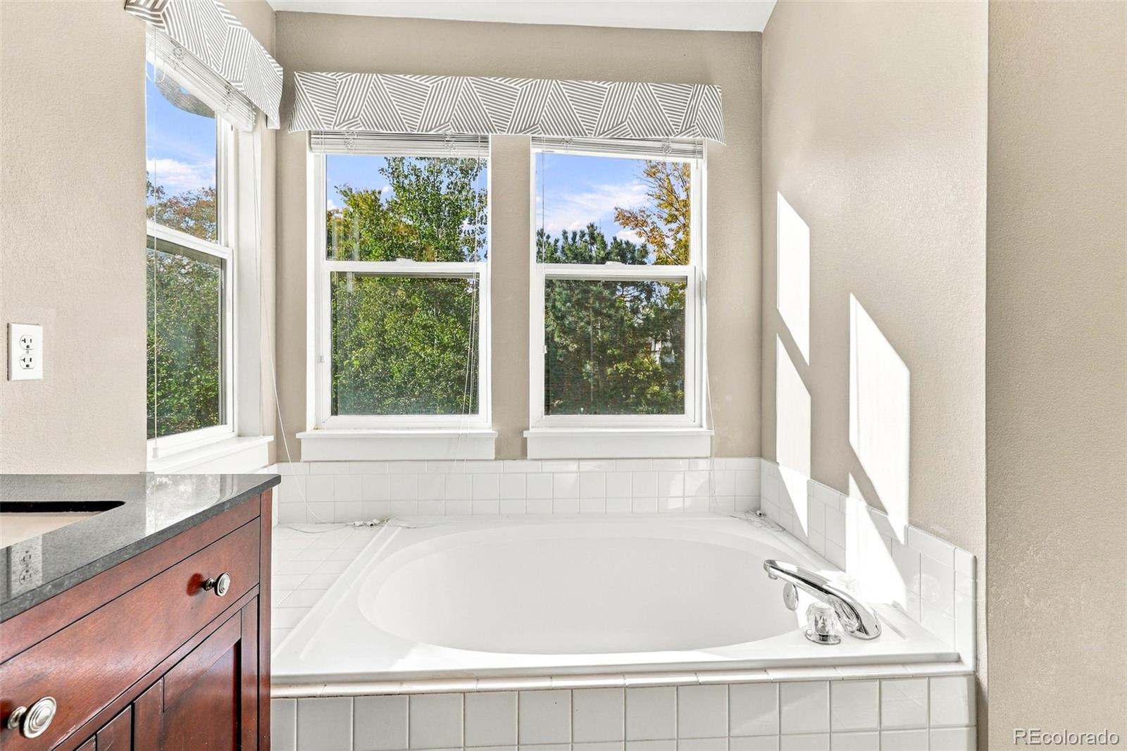 MLS Image #11 for 16455  wagon place,parker, Colorado