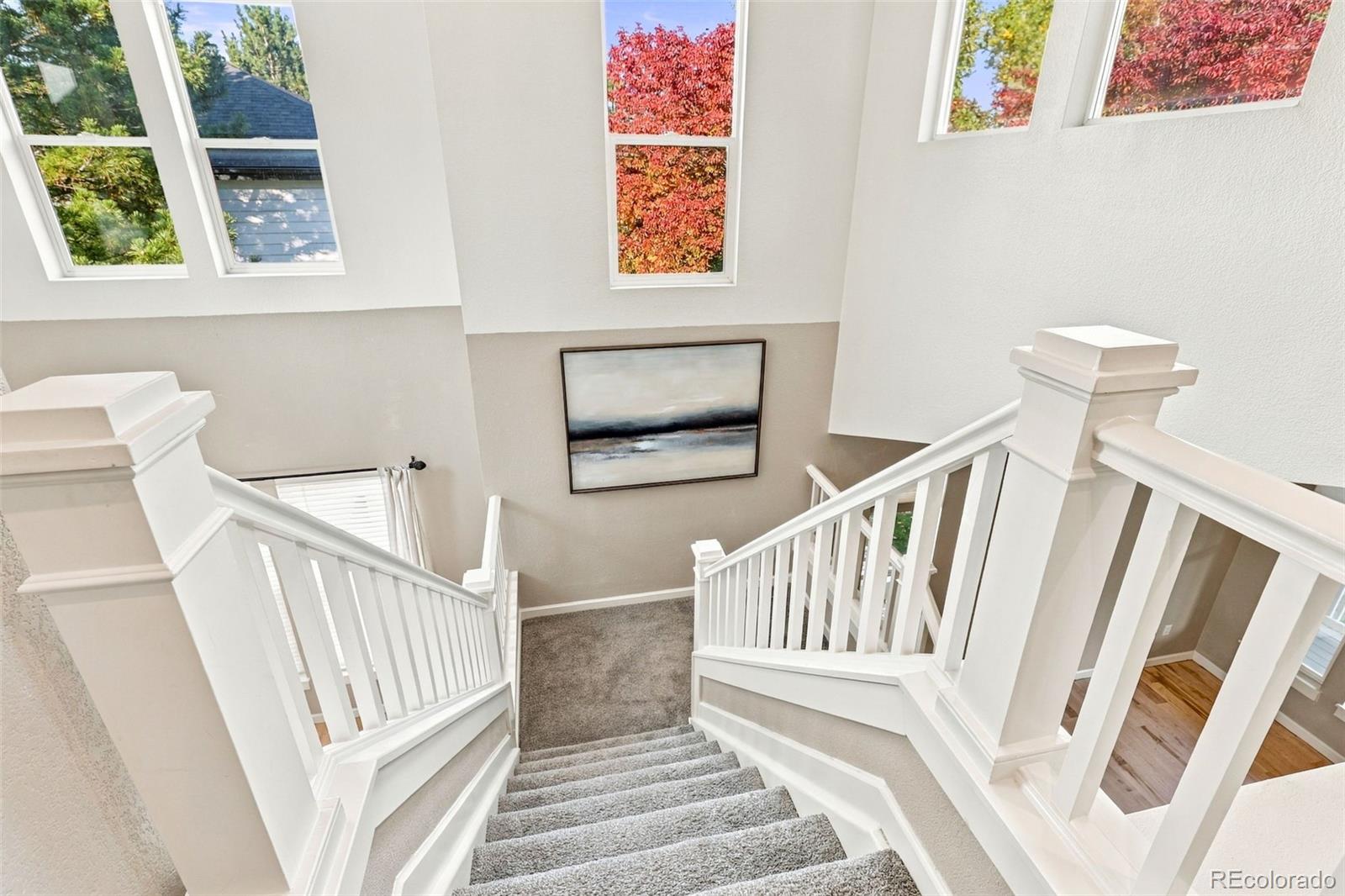 MLS Image #8 for 16455  wagon place,parker, Colorado