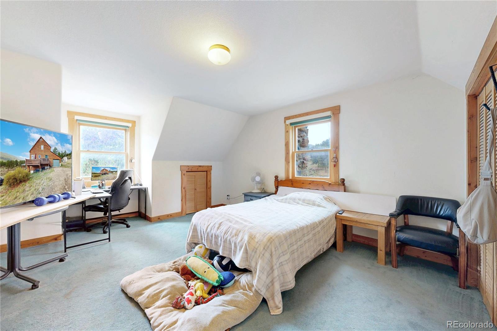 MLS Image #19 for 39  snider point,shawnee, Colorado