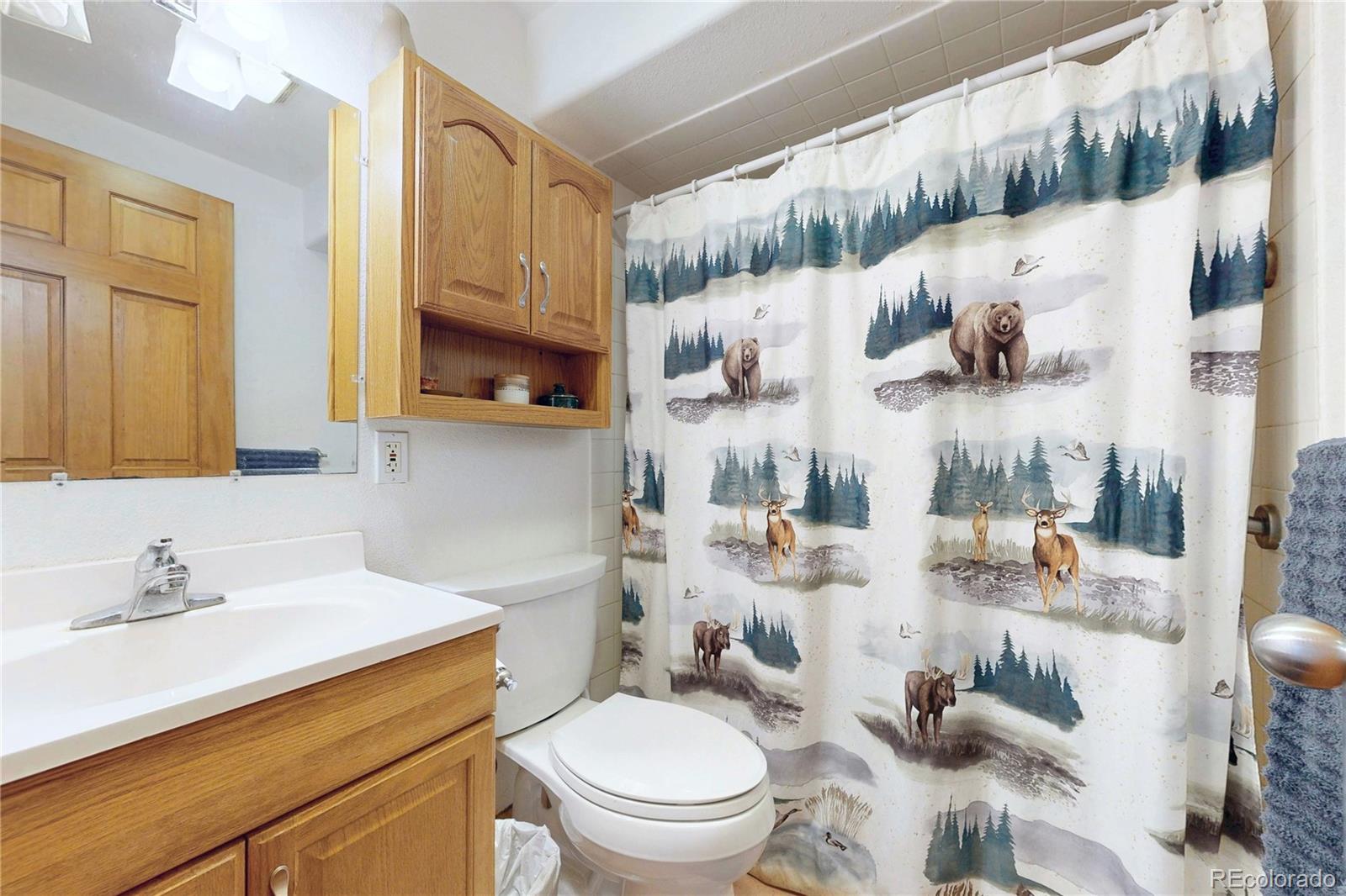 MLS Image #32 for 39  snider point,shawnee, Colorado
