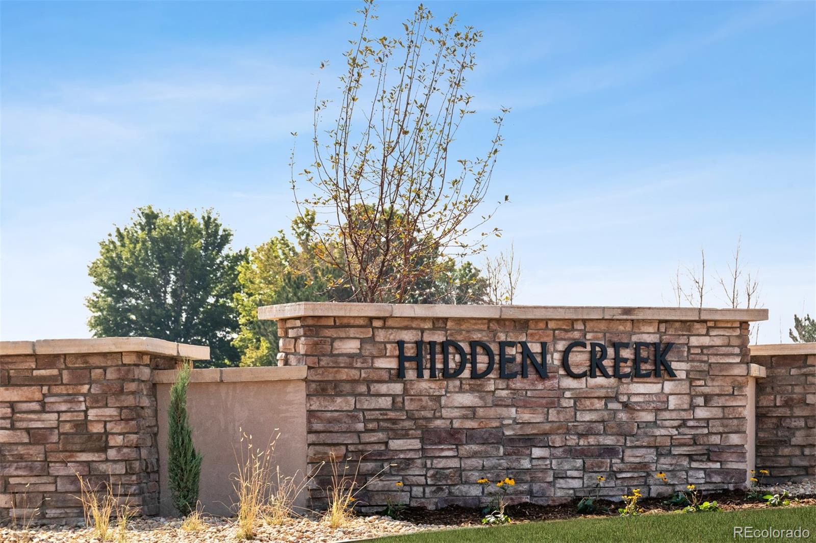 MLS Image #3 for 7321  crystal avenue,frederick, Colorado