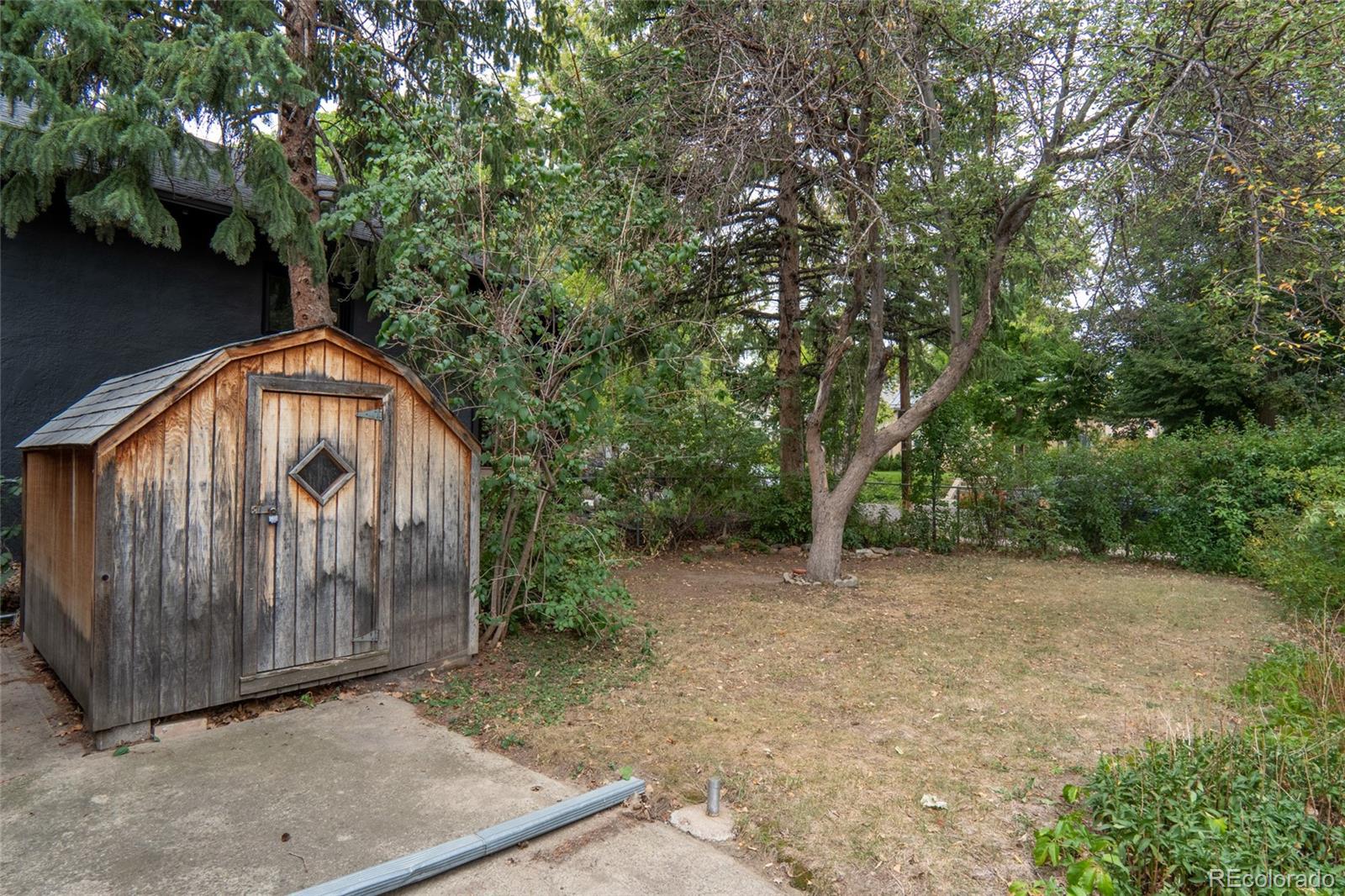 MLS Image #32 for 1040  cook street,denver, Colorado