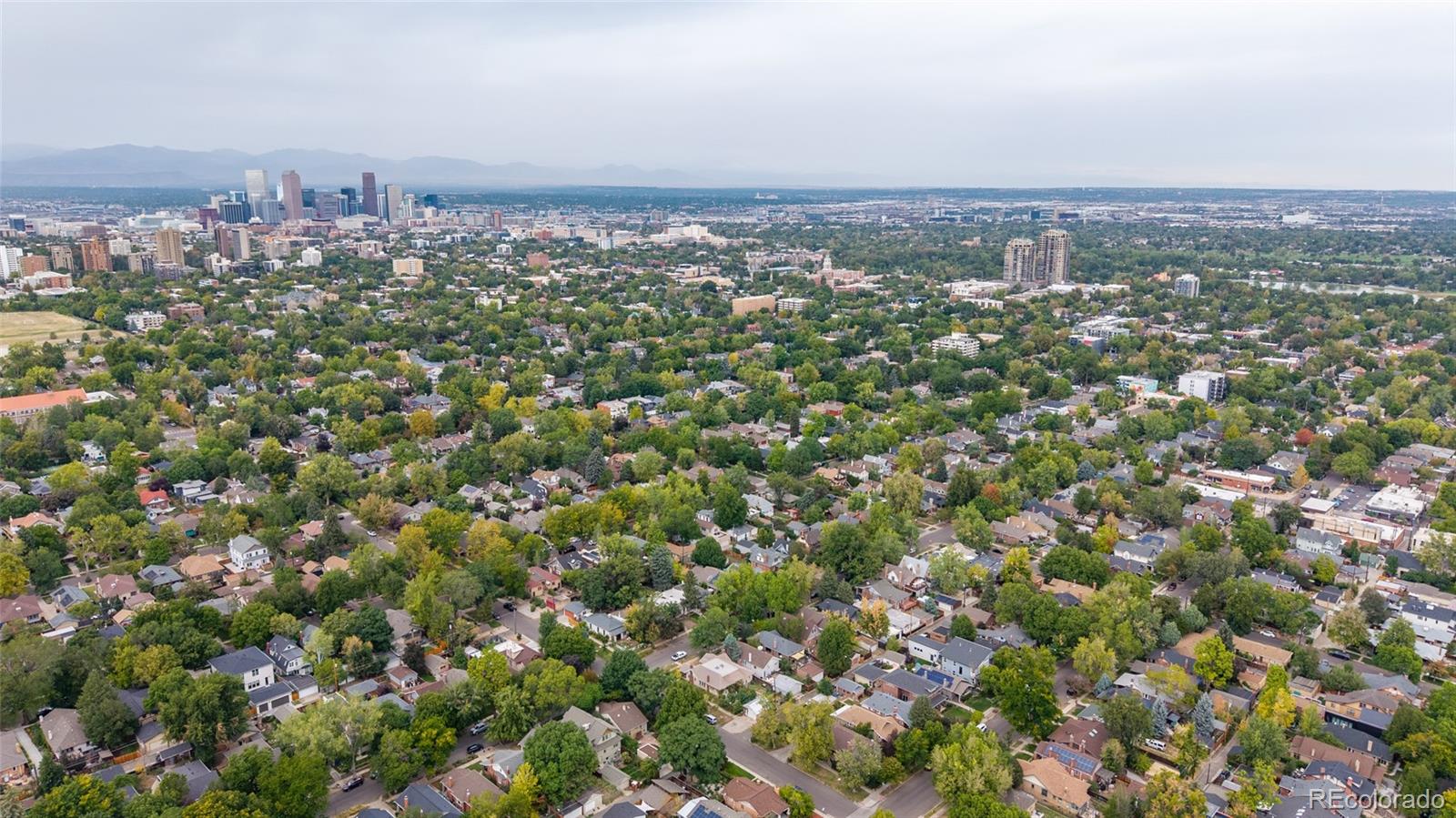 MLS Image #42 for 1040  cook street,denver, Colorado