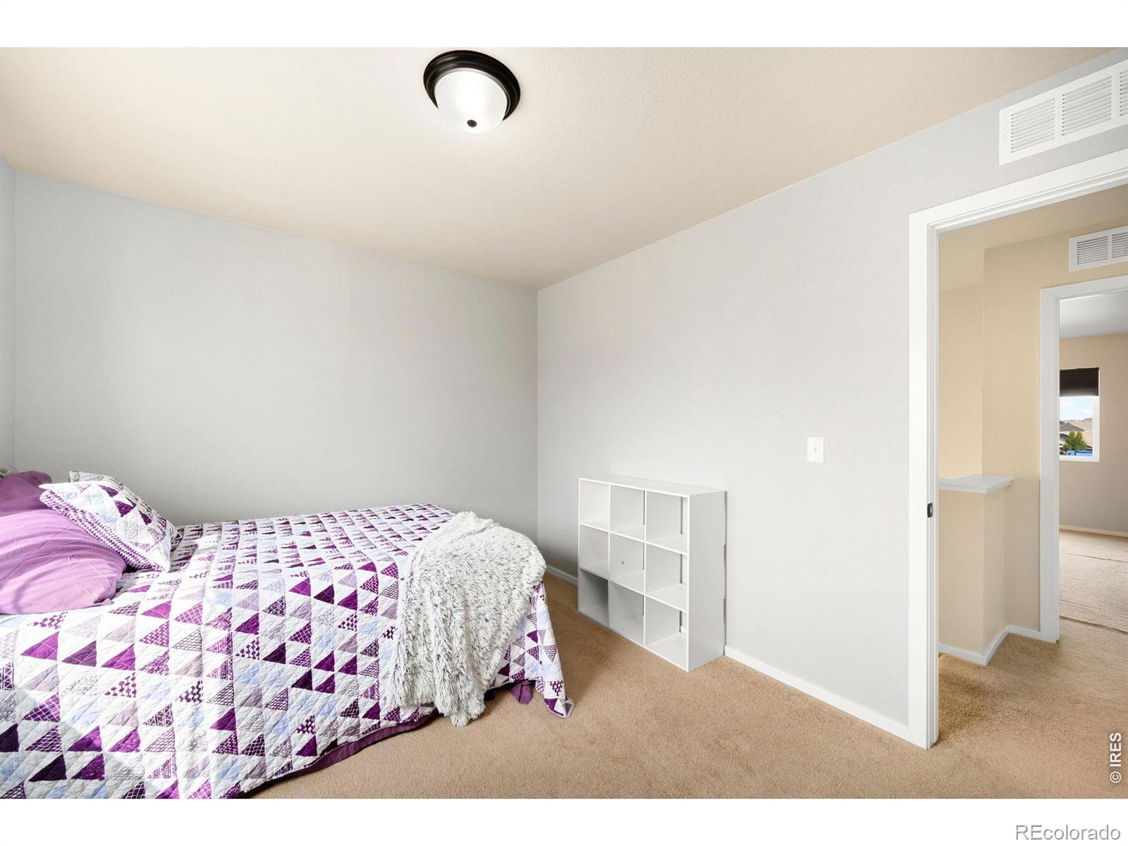 MLS Image #26 for 3077  carney street,loveland, Colorado