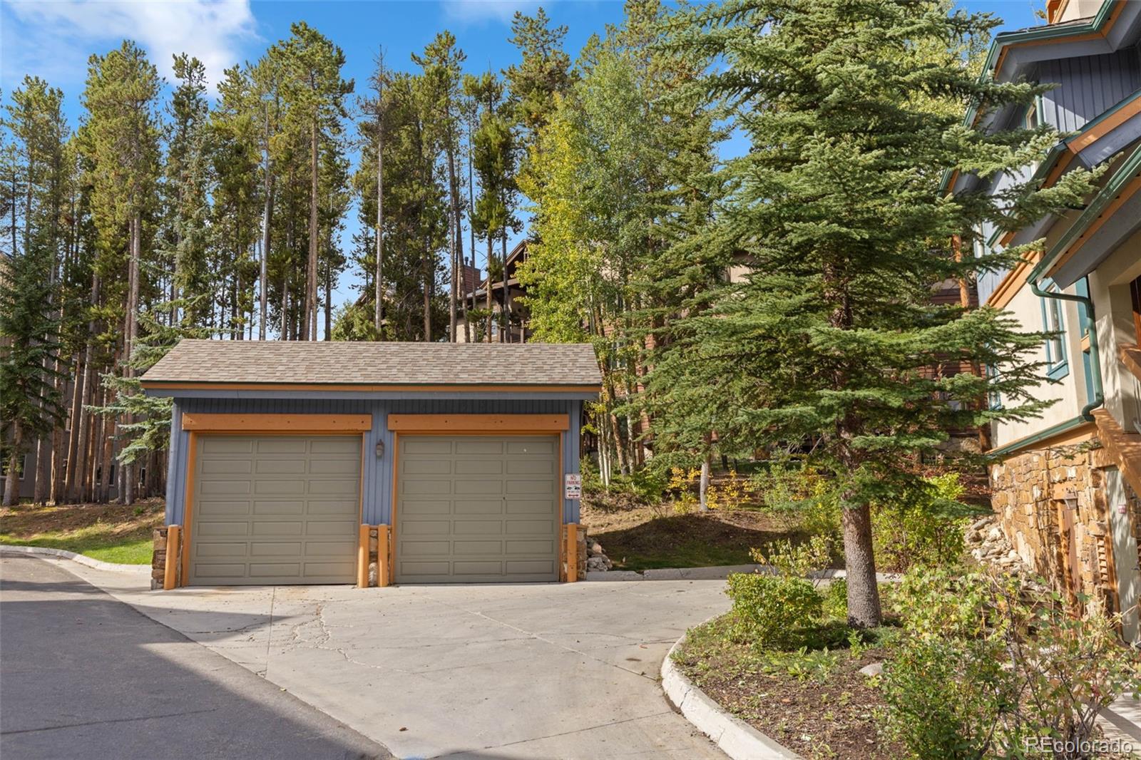 MLS Image #11 for 43  snowflake drive,breckenridge, Colorado