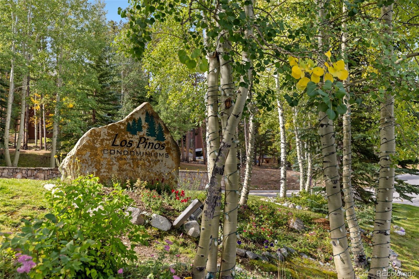 MLS Image #19 for 43  snowflake drive,breckenridge, Colorado