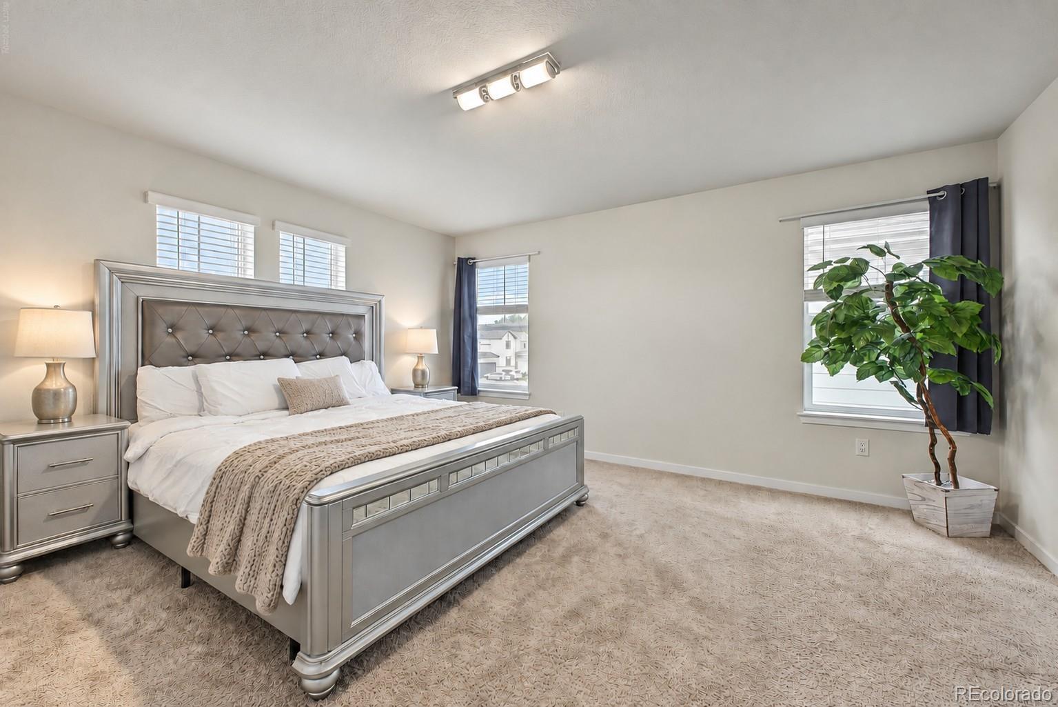MLS Image #21 for 5842  red barn avenue,mead, Colorado