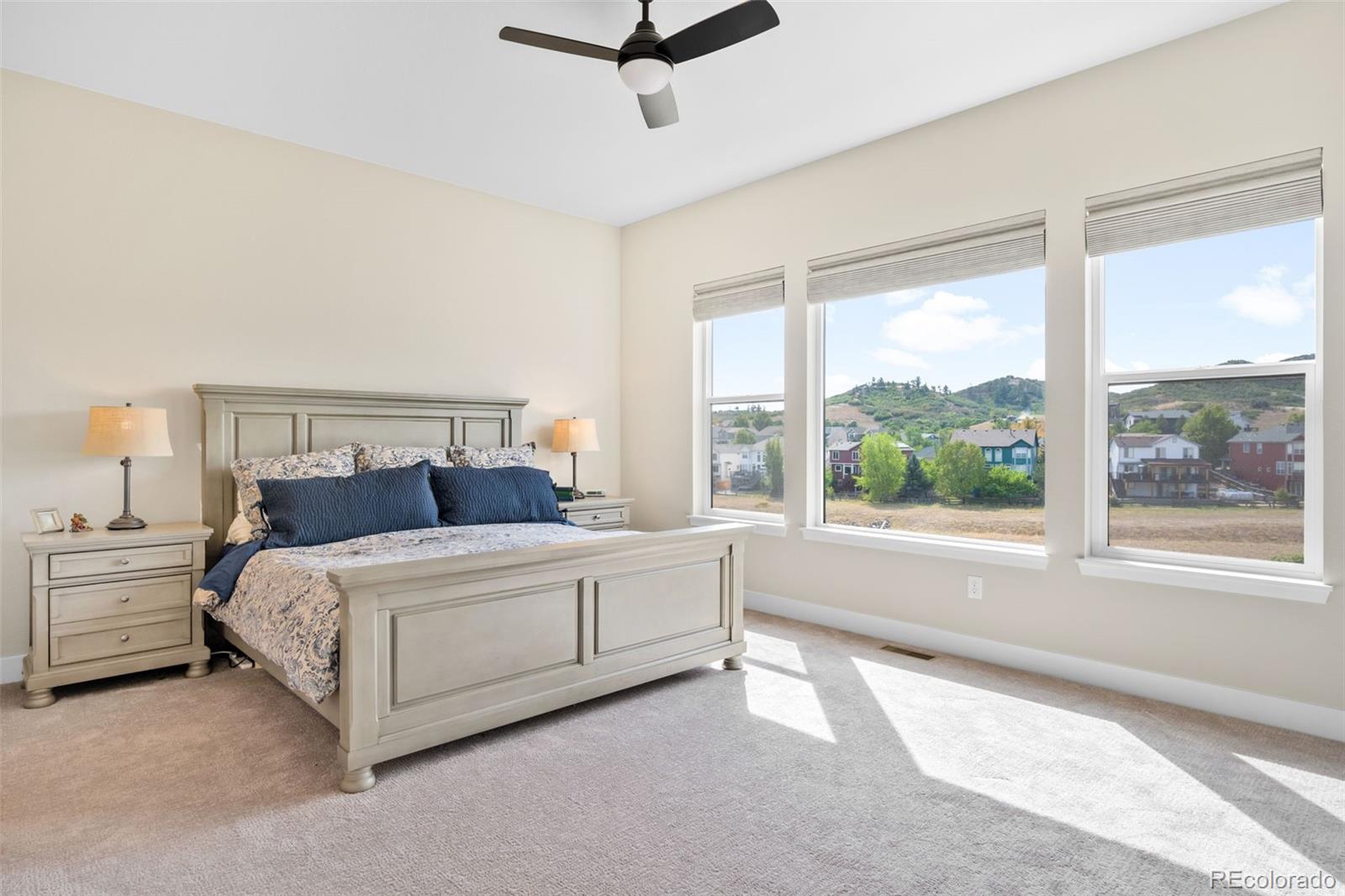 MLS Image #13 for 2015  grayside circle,castle rock, Colorado