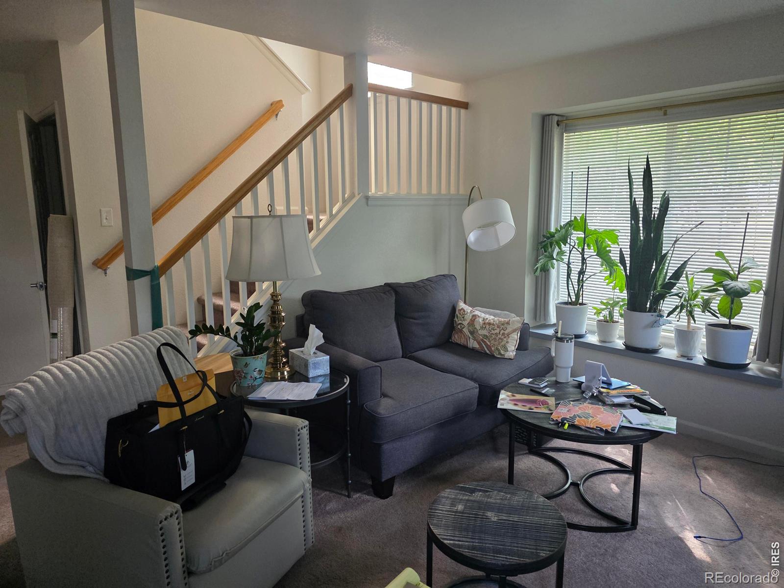 MLS Image #6 for 2125  tonopas court,loveland, Colorado
