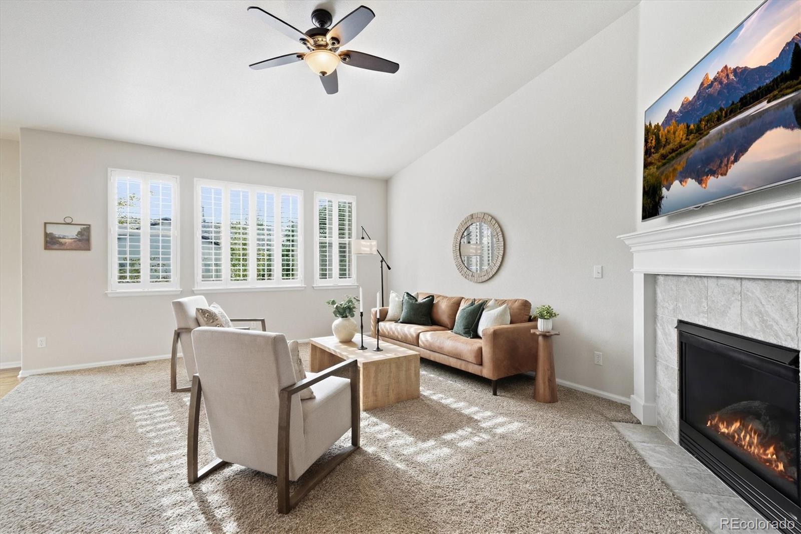 MLS Image #8 for 11020  valleybrook circle,highlands ranch, Colorado