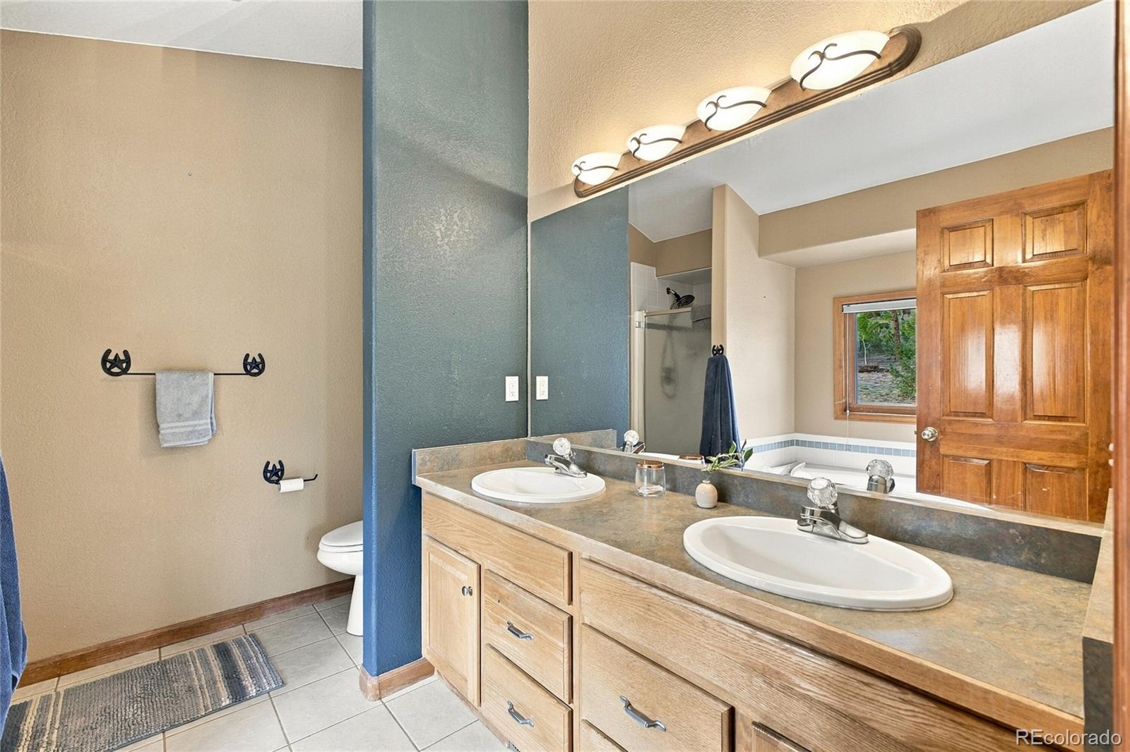 MLS Image #10 for 199  elk horn court,bailey, Colorado