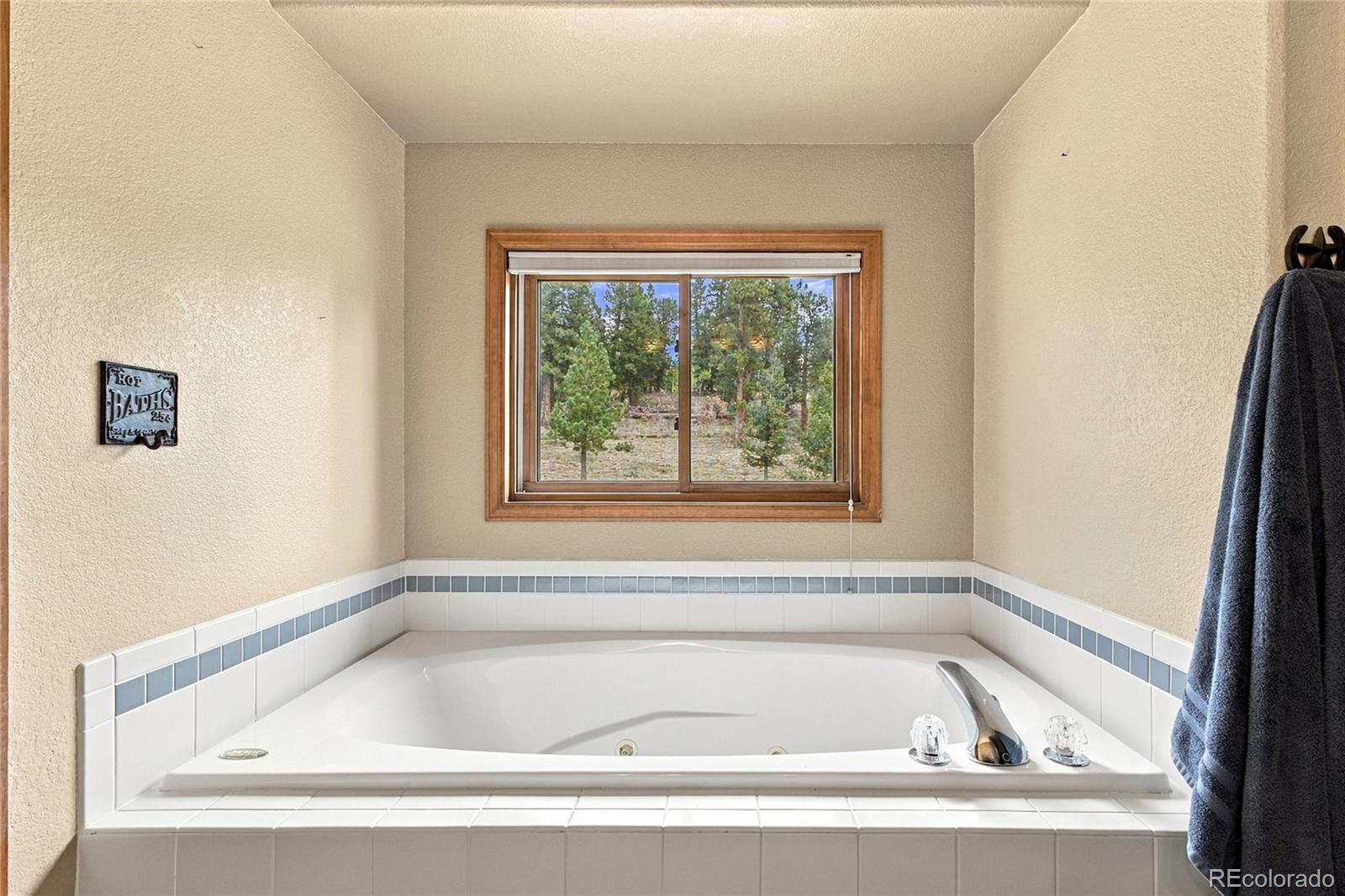 MLS Image #11 for 199  elk horn court,bailey, Colorado
