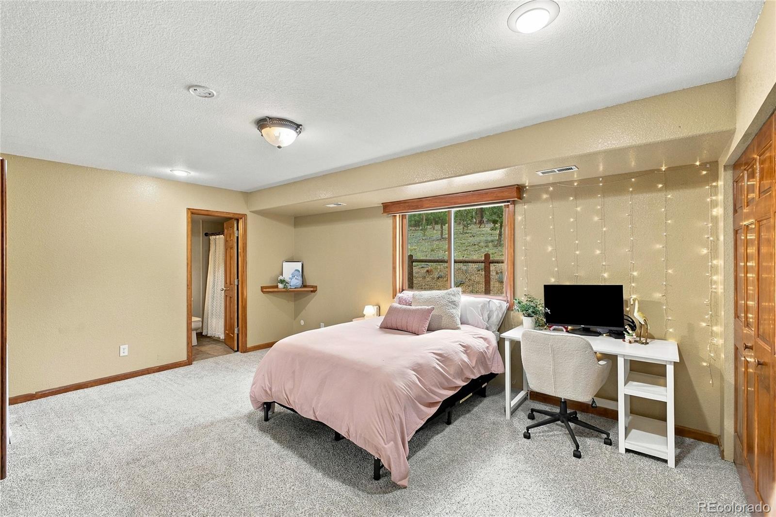 MLS Image #13 for 199  elk horn court,bailey, Colorado