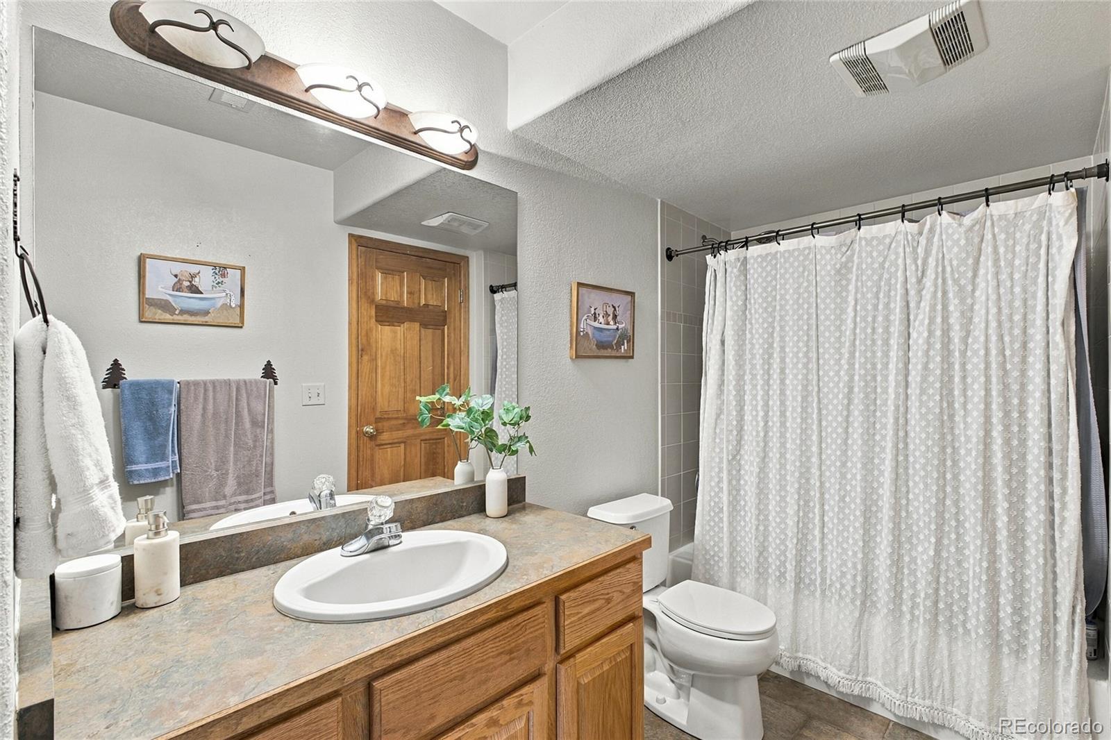 MLS Image #14 for 199  elk horn court,bailey, Colorado