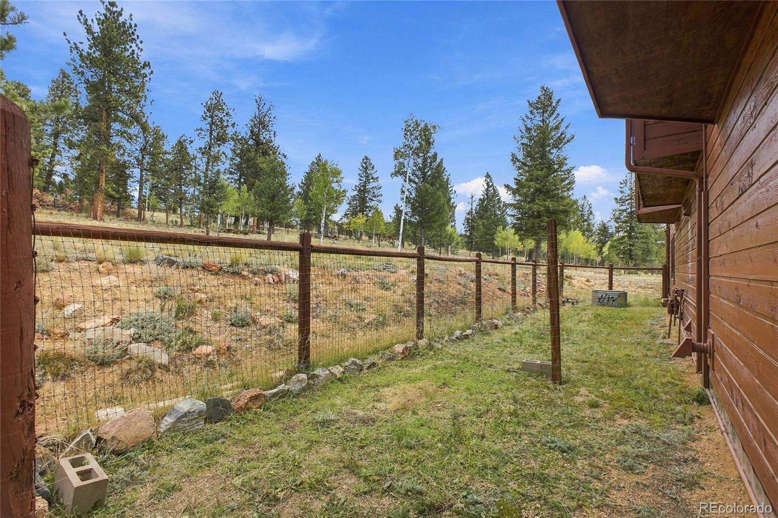 MLS Image #16 for 199  elk horn court,bailey, Colorado