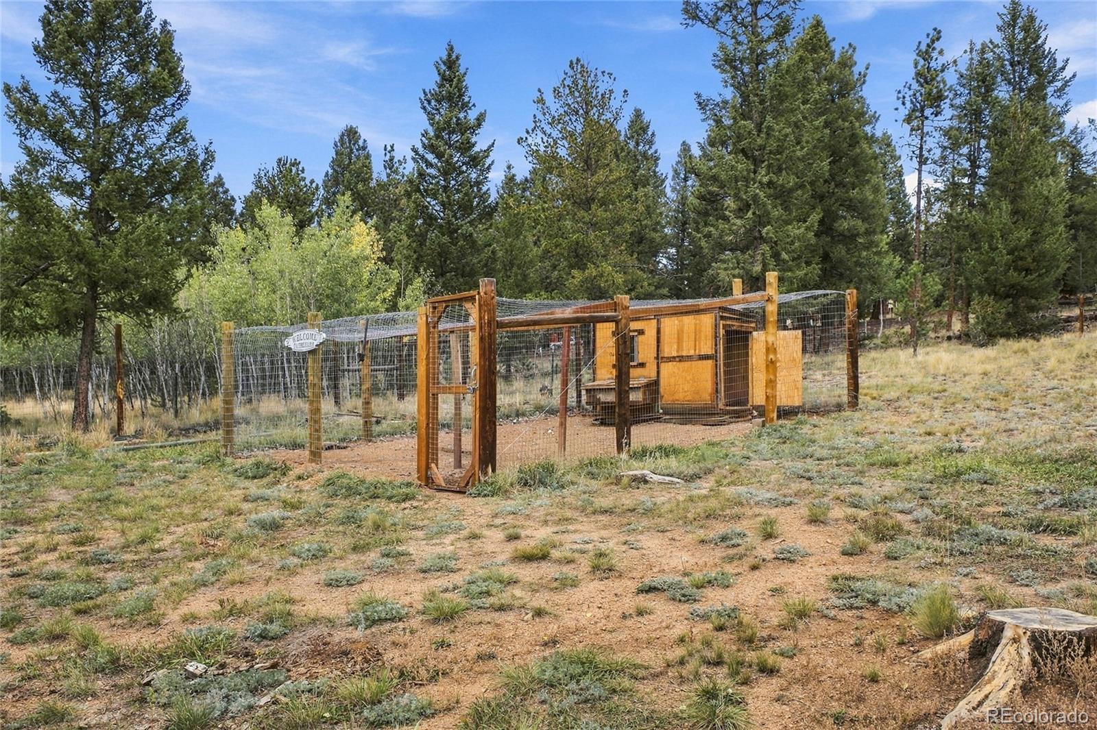 MLS Image #17 for 199  elk horn court,bailey, Colorado