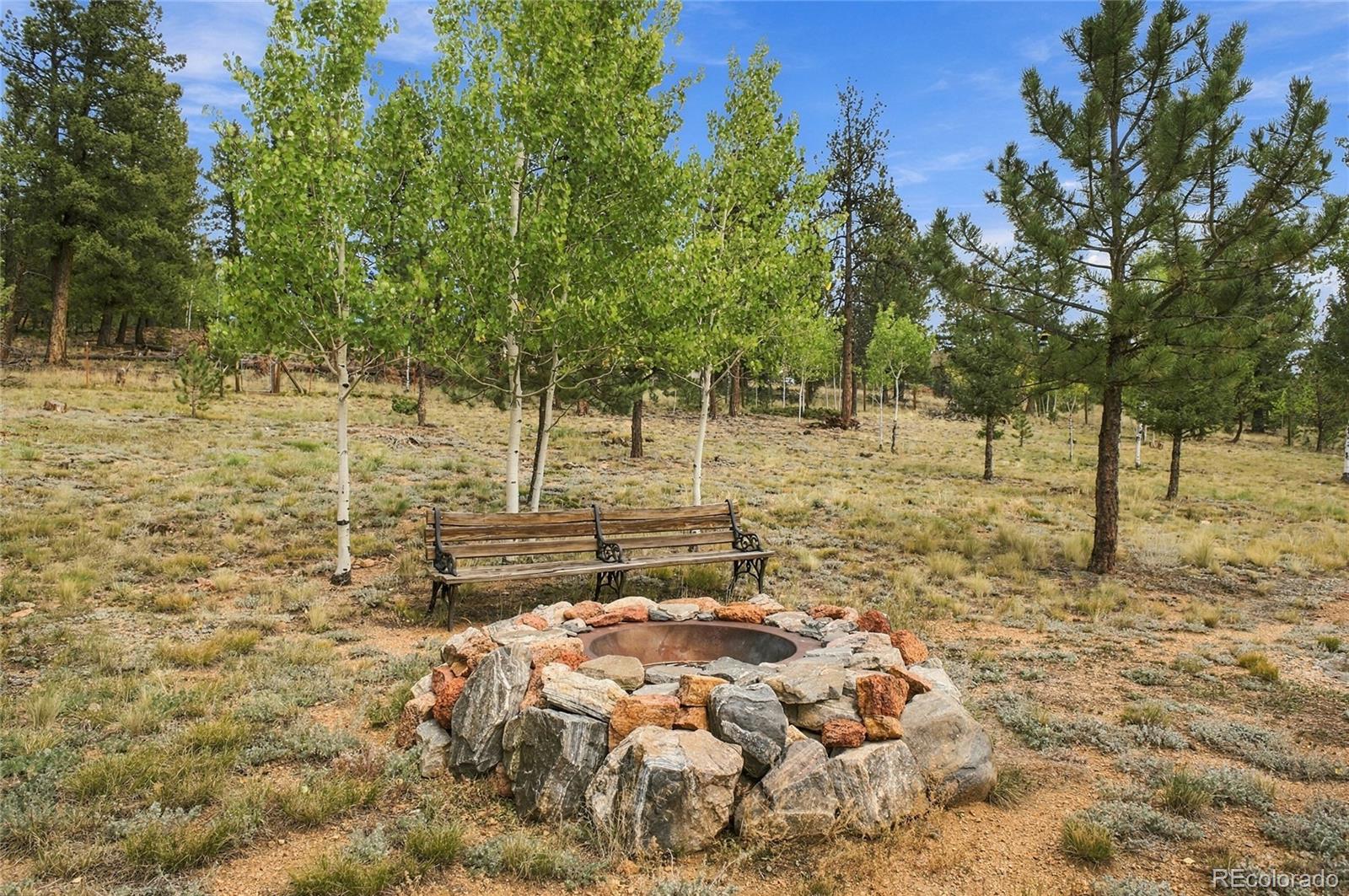 MLS Image #18 for 199  elk horn court,bailey, Colorado