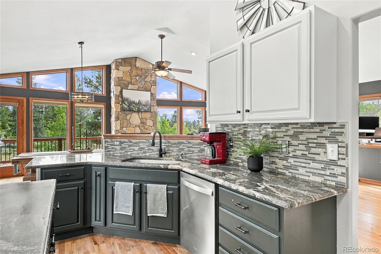 MLS Image #4 for 199  elk horn court,bailey, Colorado
