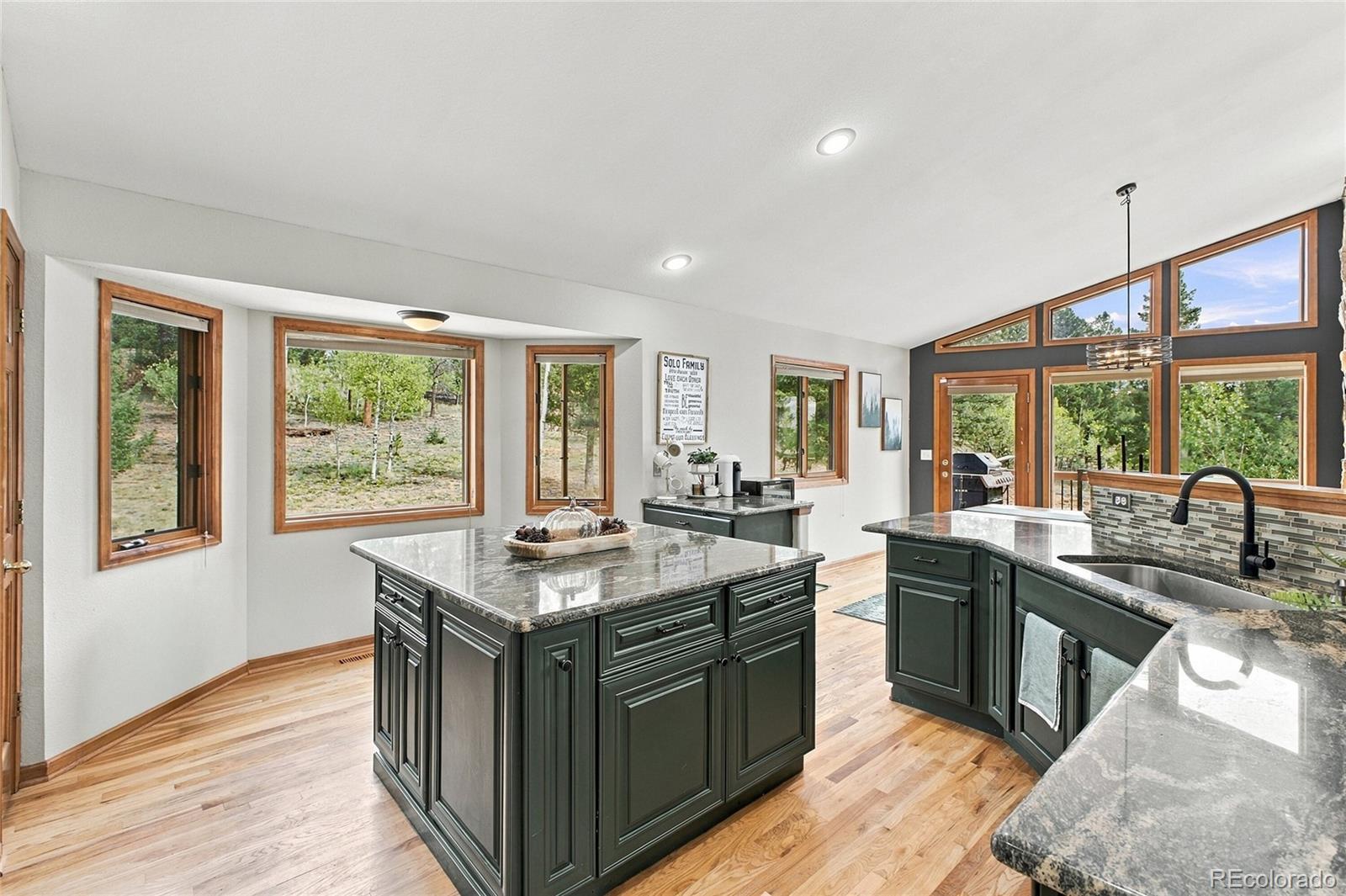 MLS Image #5 for 199  elk horn court,bailey, Colorado