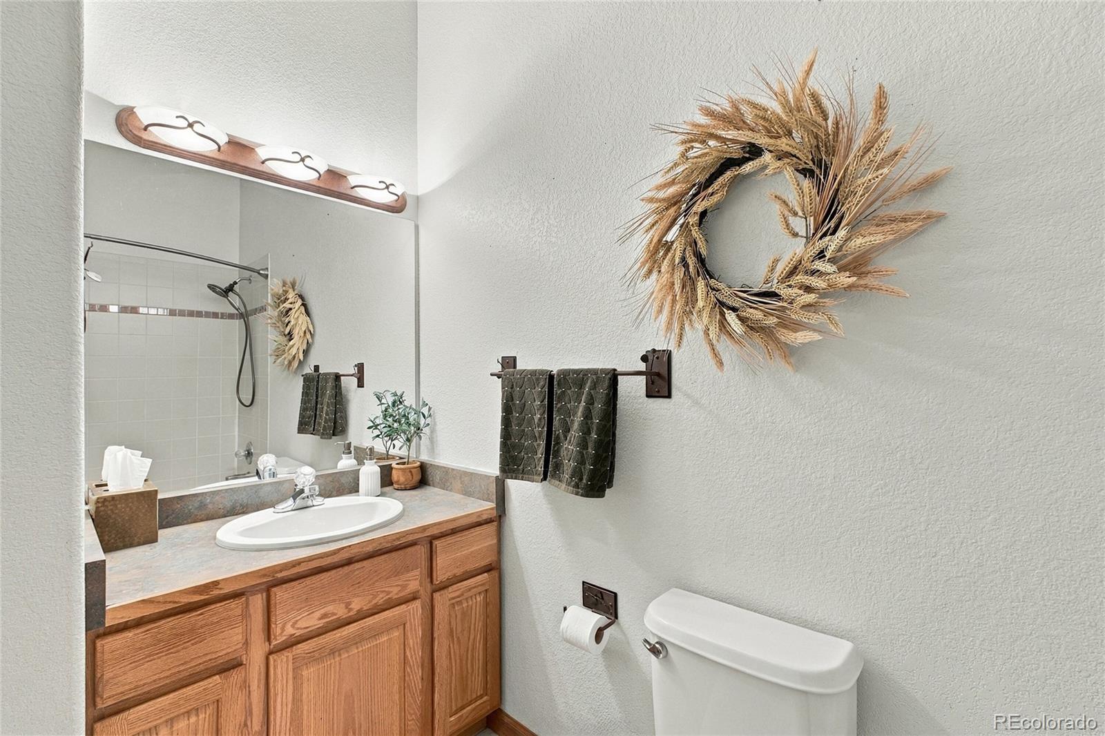 MLS Image #8 for 199  elk horn court,bailey, Colorado