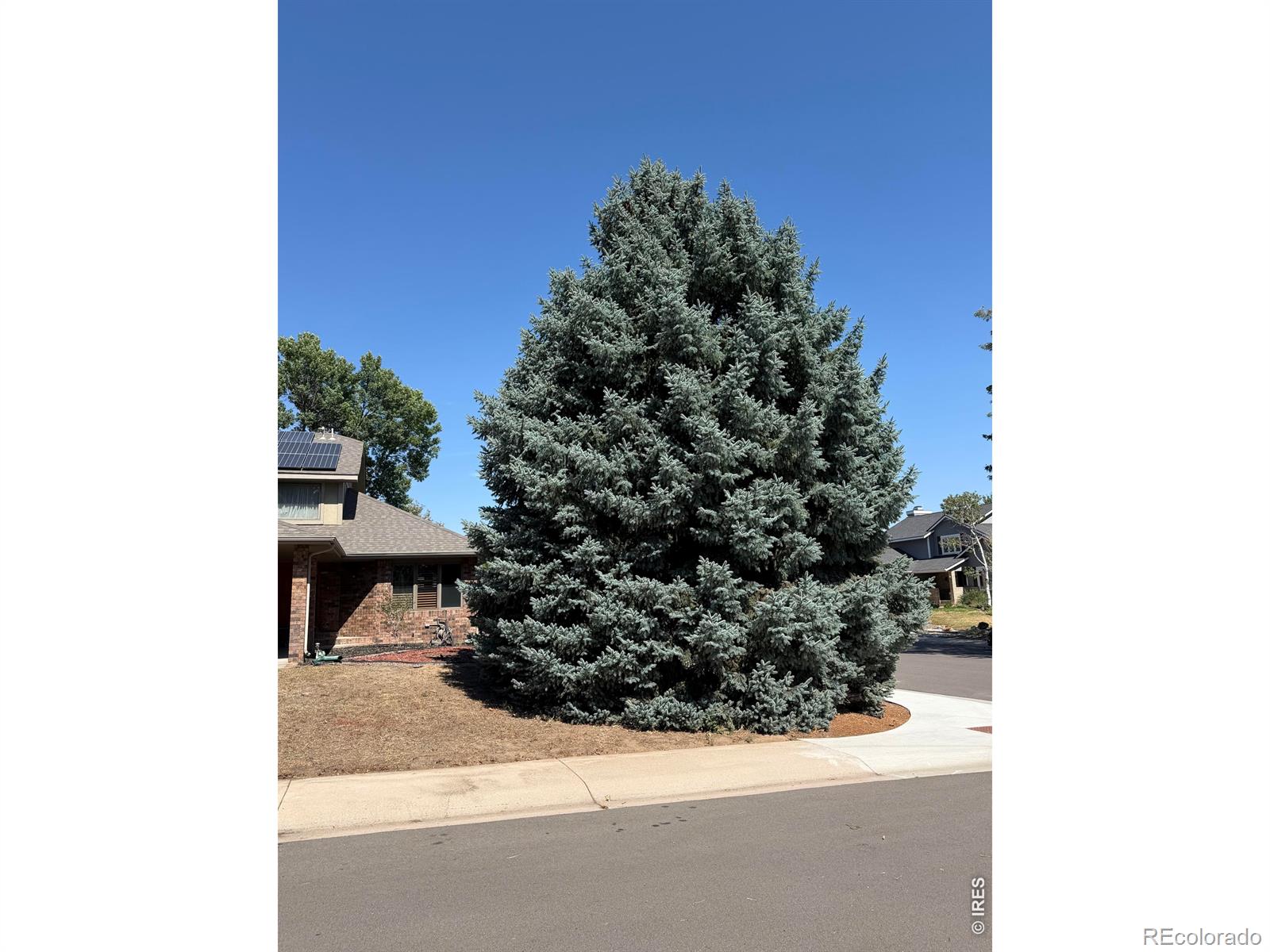 MLS Image #3 for 4501  23rd street,greeley, Colorado
