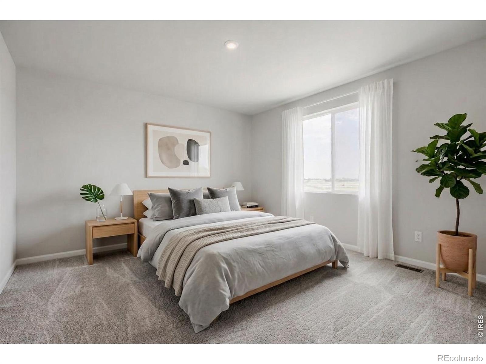 MLS Image #10 for 659  noola street,windsor, Colorado