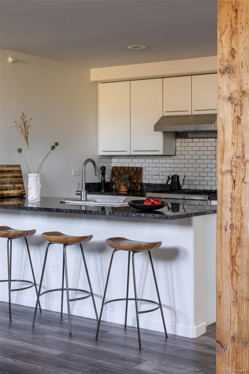 MLS Image #6 for 999 e 22nd avenue 3,denver, Colorado