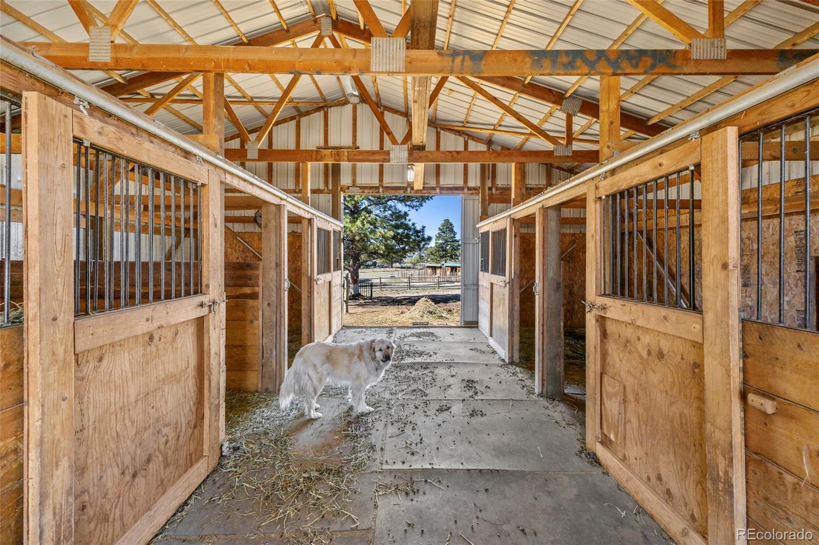 MLS Image #40 for 2289  windmill circle,elizabeth, Colorado