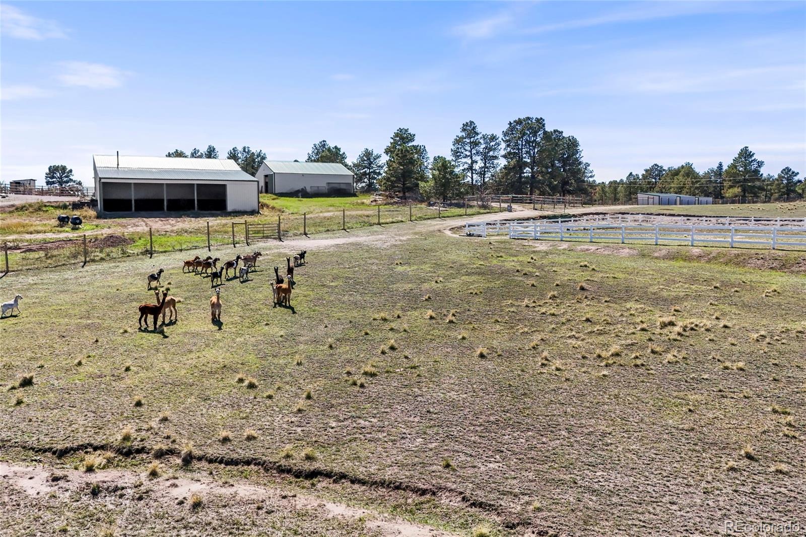 MLS Image #44 for 2289  windmill circle,elizabeth, Colorado