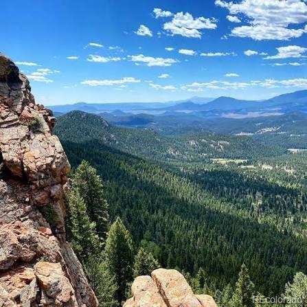 MLS Image #46 for 30824  kings valley drive,conifer, Colorado